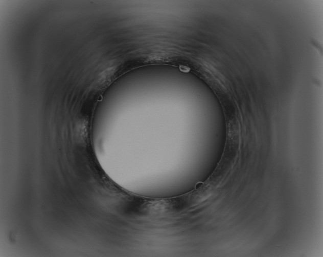 X0000093390127200710191201