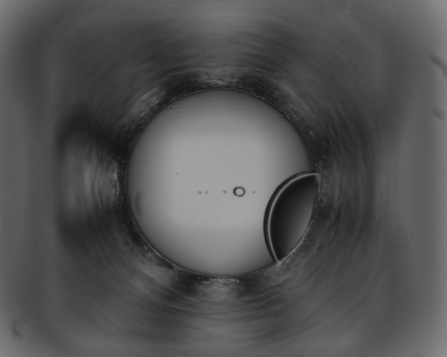 X0000093390128200710191201