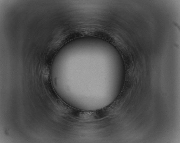 X0000093390129200710191201