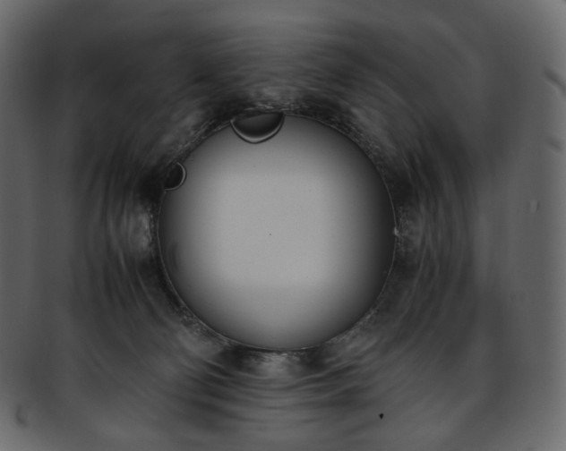 X0000093390130200710191201