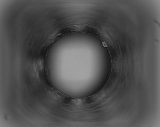 X0000093390131200710191201