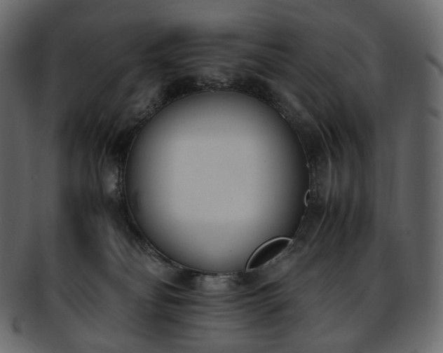 X0000093390134200710191201