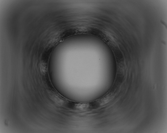 X0000093390135200710191201