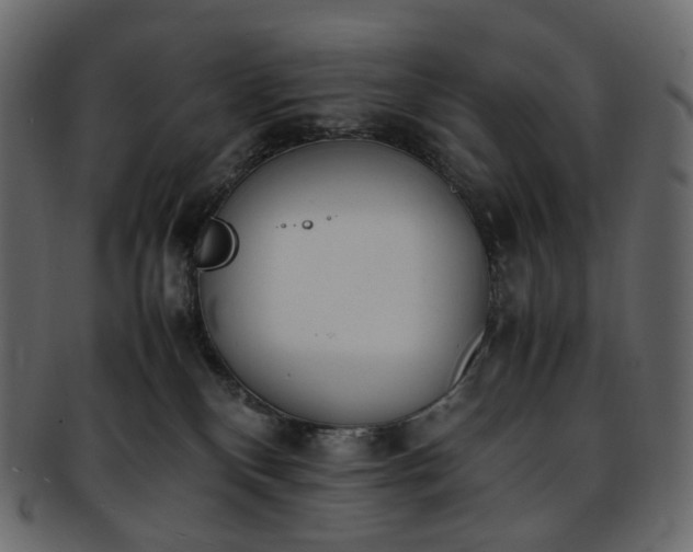 X0000093390136200710191201