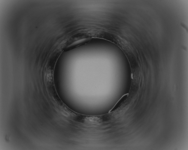 X0000093390137200710191201