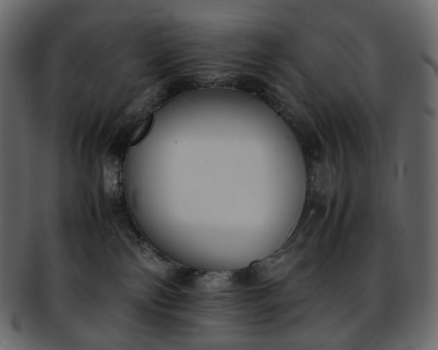 X0000093390138200710191201