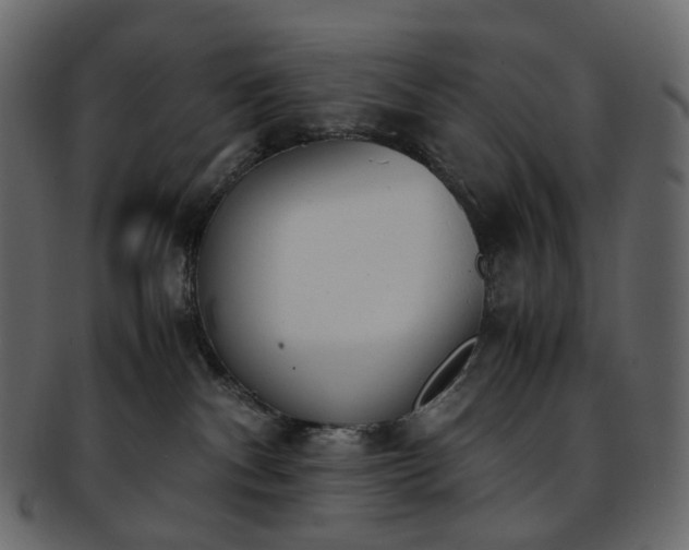 X0000093390140200710191201