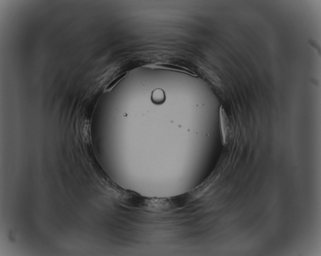 X0000093390141200710191201