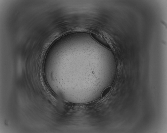 X0000093390145200710191200