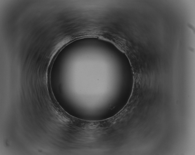 X0000093390148200710191200