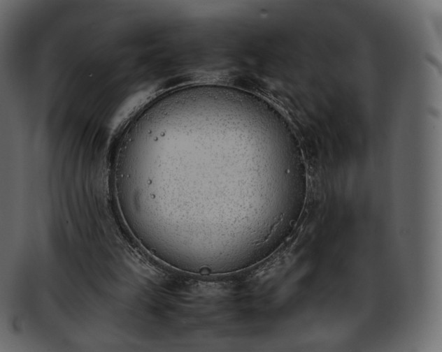 X0000093390149200710191200