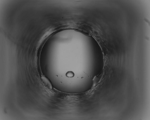 X0000093390150200710191200