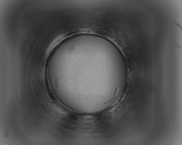 X0000093390151200710191200