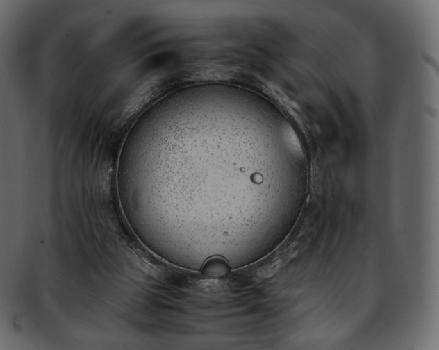 X0000093390153200710191200