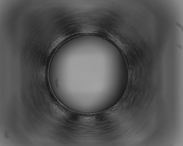 X0000093390155200710191200