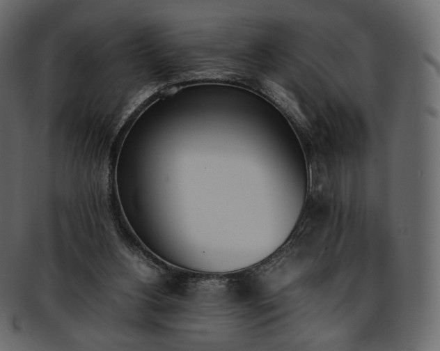 X0000093390156200710191200