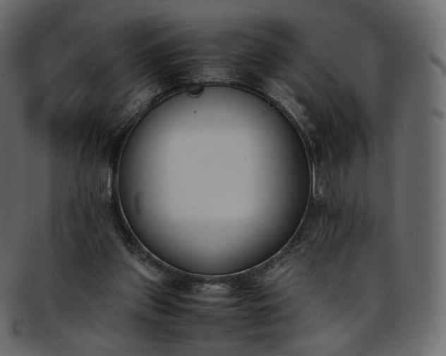 X0000093390157200710191200