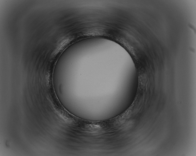 X0000093390159200710191200