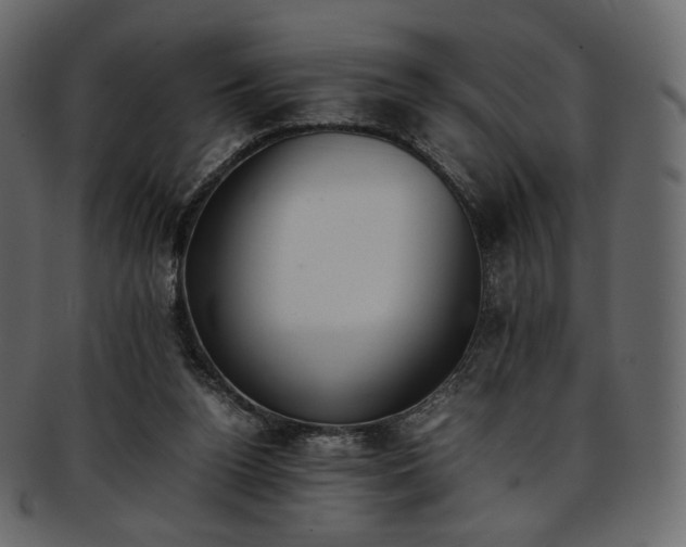 X0000093390160200710191200