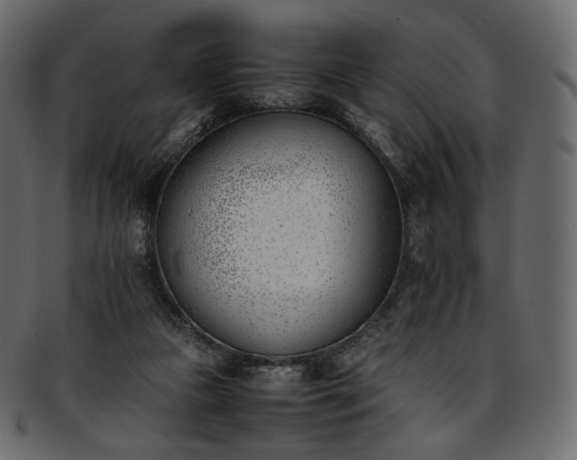 X0000093390161200710191200