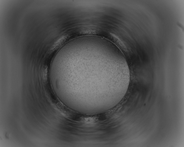 X0000093390163200710191200