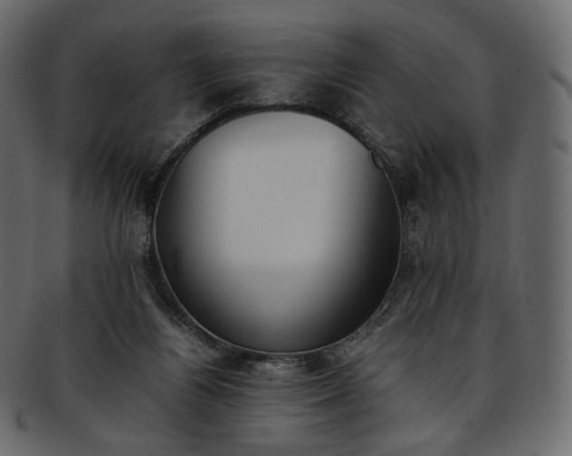 X0000093390164200710191200