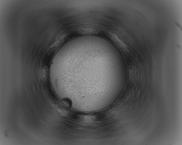 X0000093390165200710191200