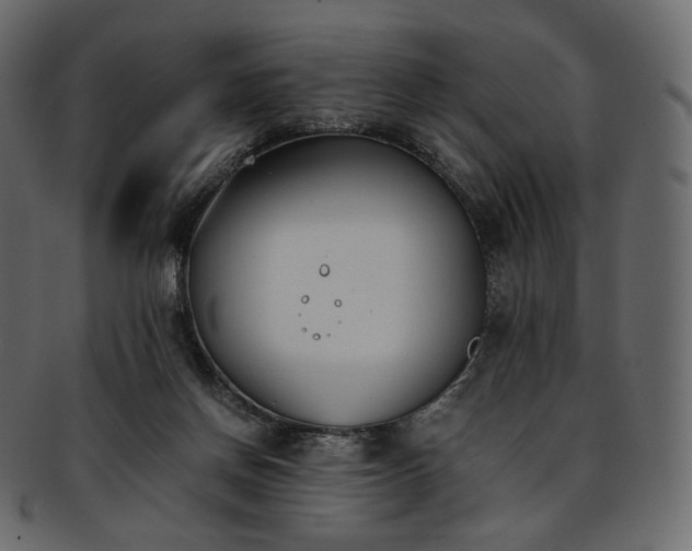 X0000093390166200710191200