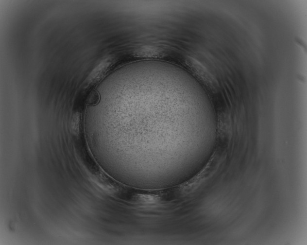 X0000093390167200710191200