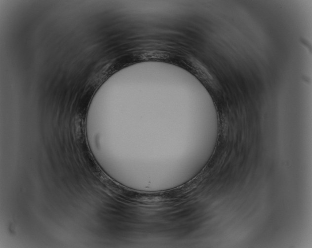 X0000093390169200710191200