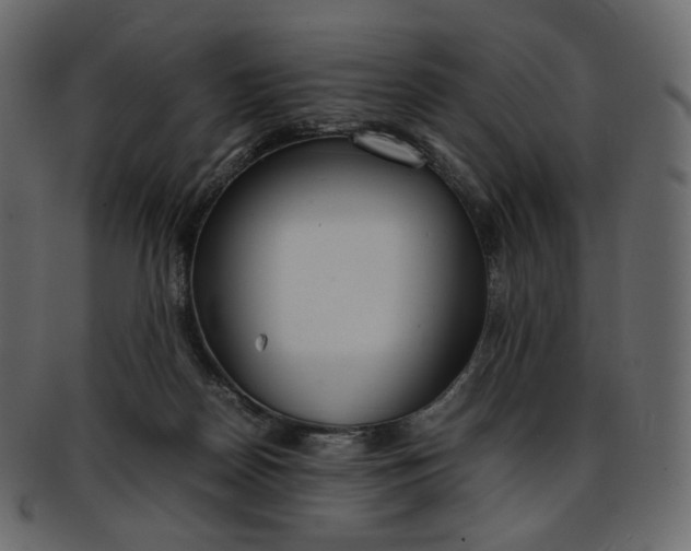 X0000093390170200710191200