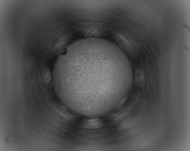 X0000093390173200710191200