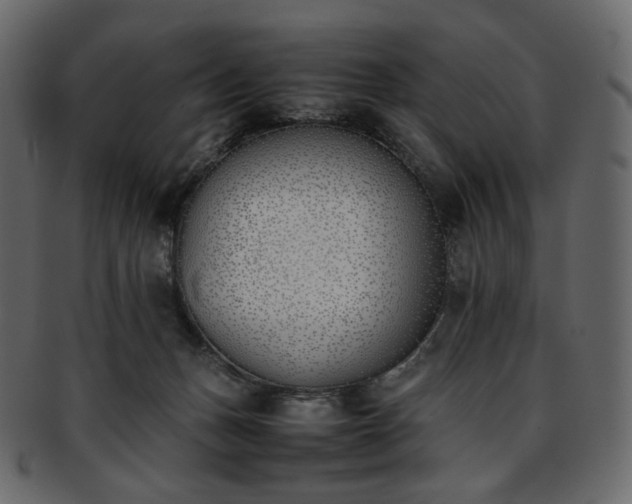 X0000093390175200710191201