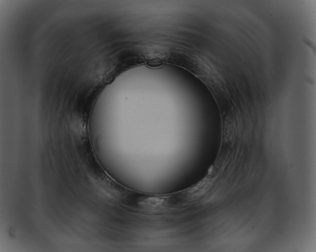 X0000093390176200710191201