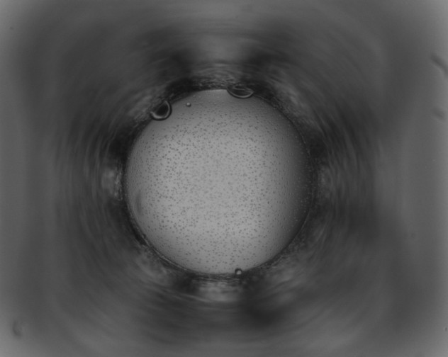 X0000093390177200710191201