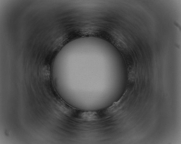 X0000093390179200710191201