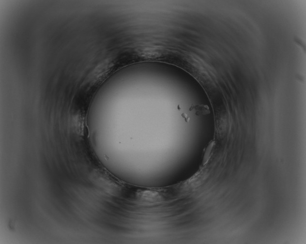 X0000093390180200710191201