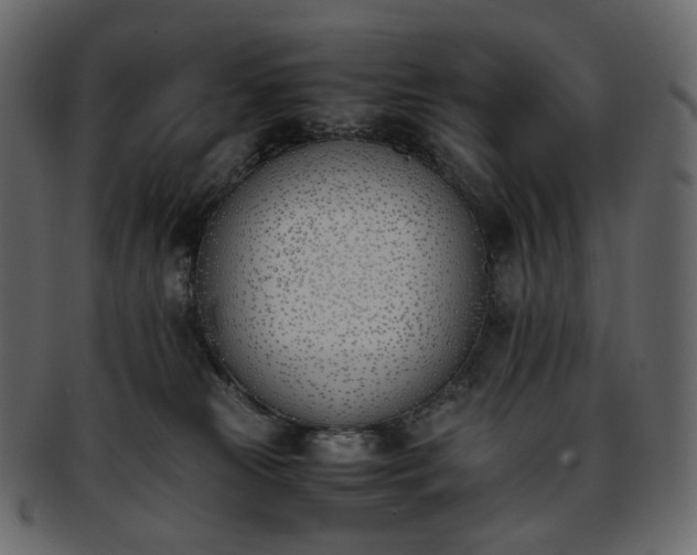 X0000093390181200710191201