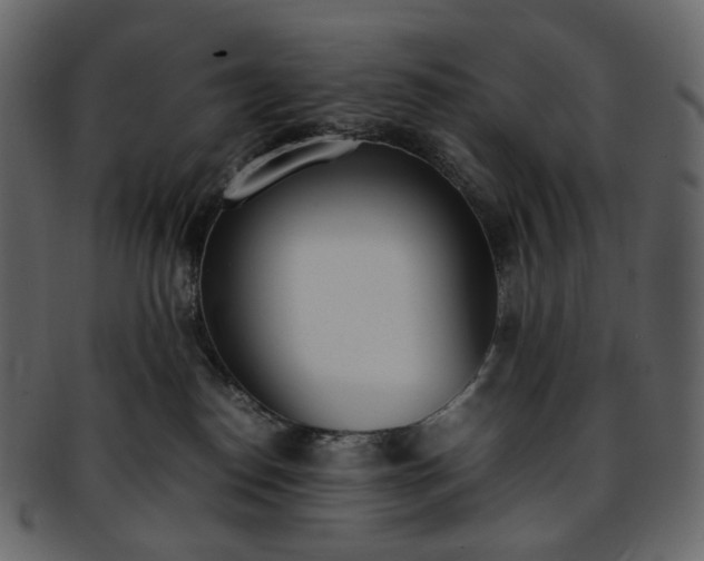 X0000093390186200710191201