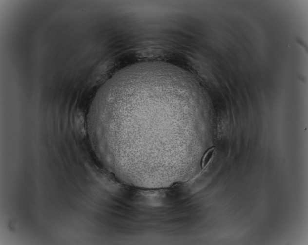 X0000093390187200710191201