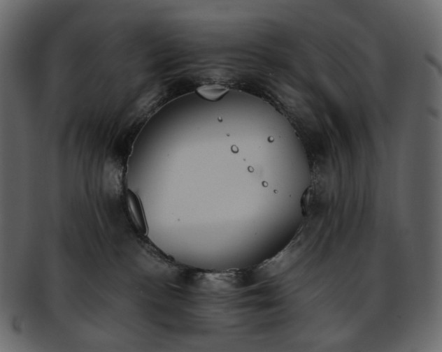 X0000093390188200710191201