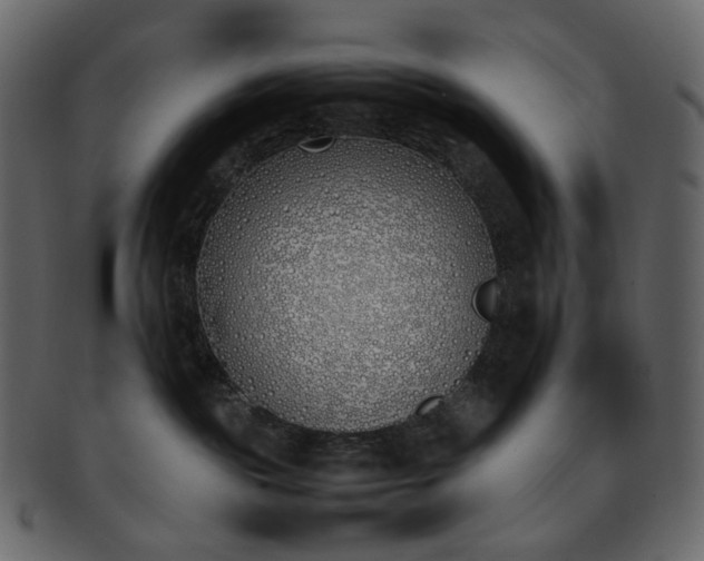 X0000093390189200710191201