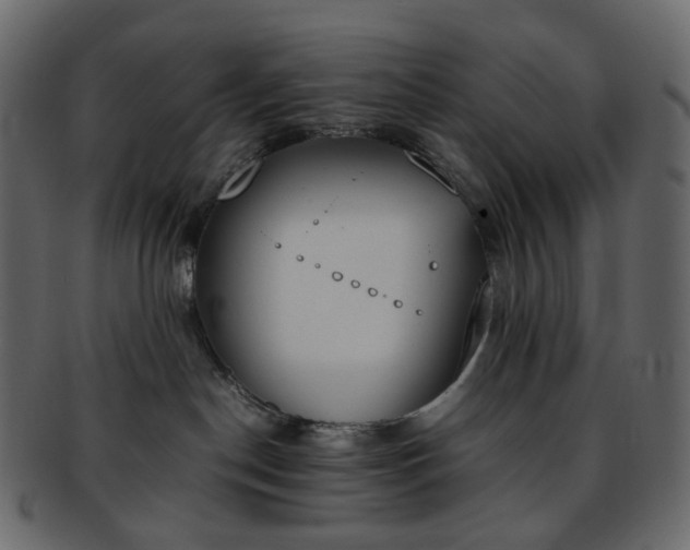 X0000093390190200710191201