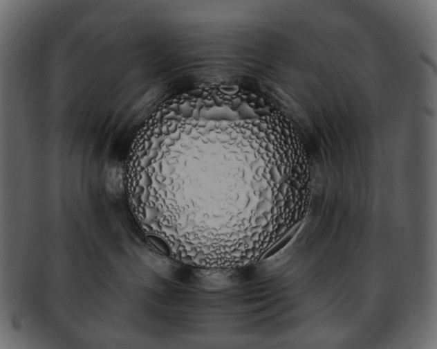 X0000093390191200710191201