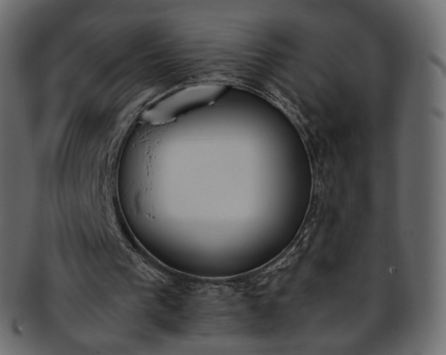 X0000093390193200710191200