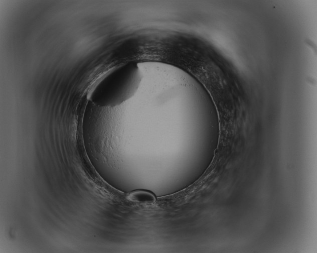 X0000093390194200710191200