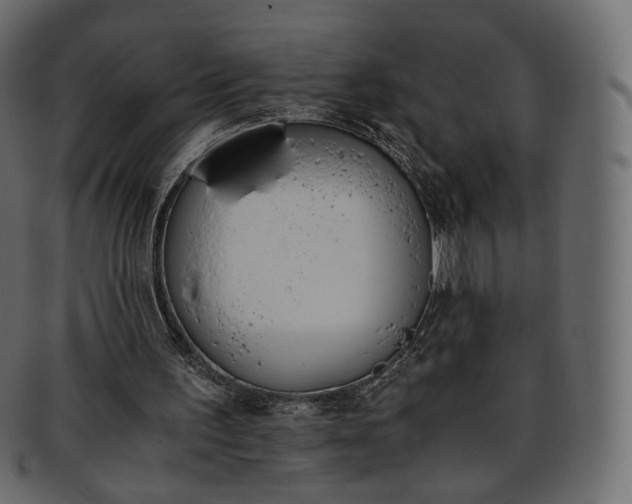 X0000093390195200710191200