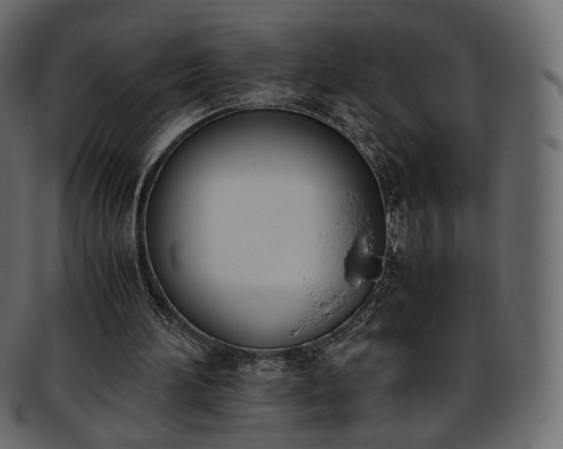 X0000093390196200710191200