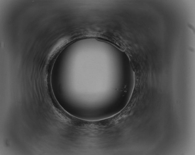 X0000093390197200710191200