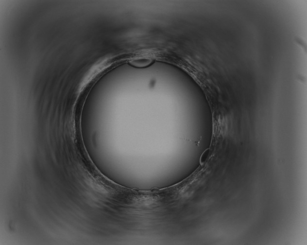 X0000093390198200710191200